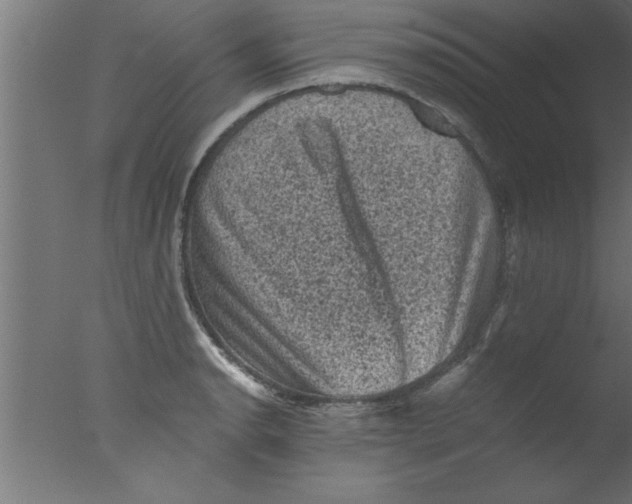 X0000076031134200610201820