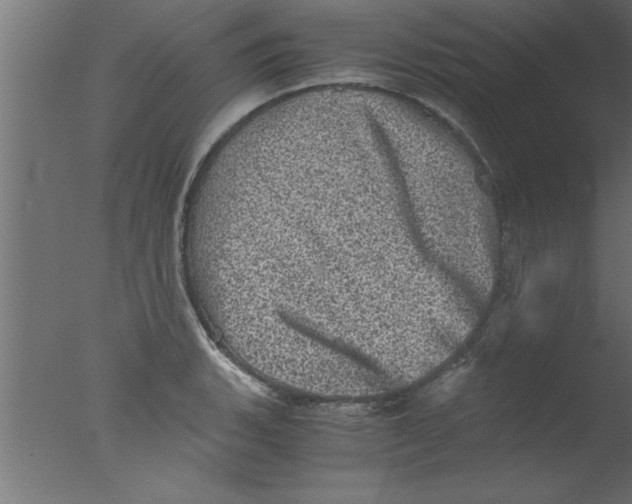 X0000076031135200610201820