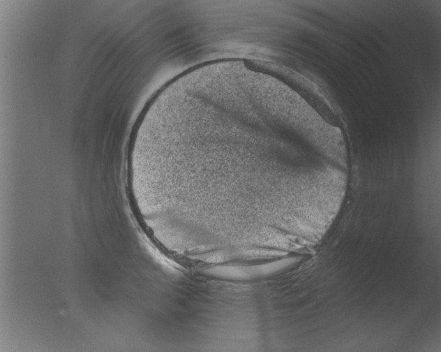 X0000076031136200610201820