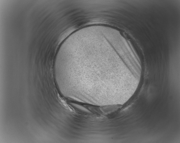 X0000076031137200610201820