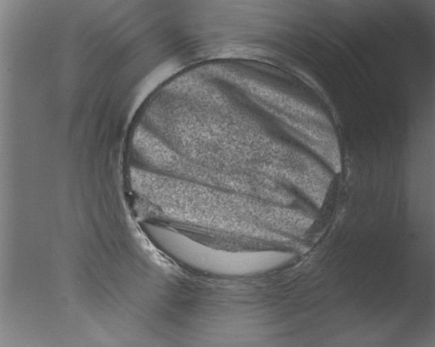 X0000076031138200610201820