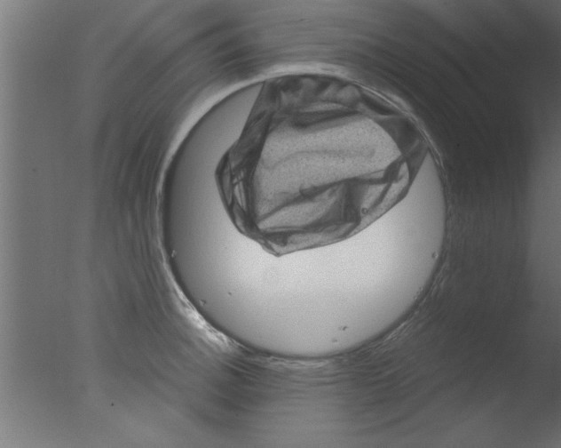 X0000076031140200610201820