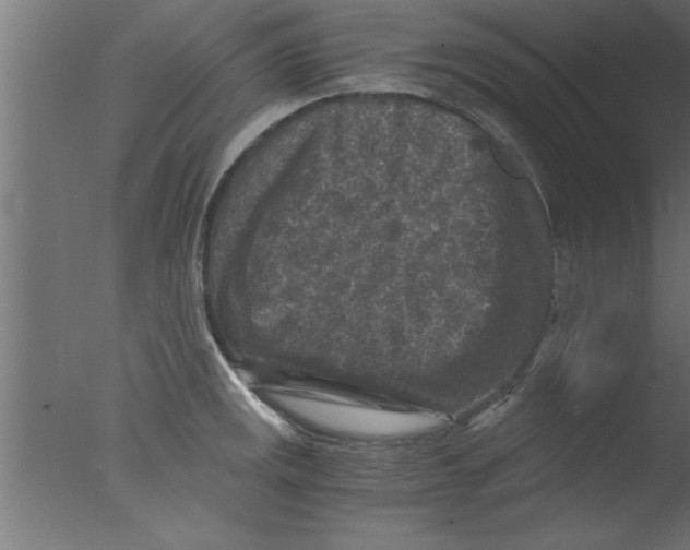 X0000076031141200610201820