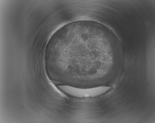 X0000076031142200610201820