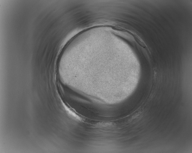 X0000076031143200610201820