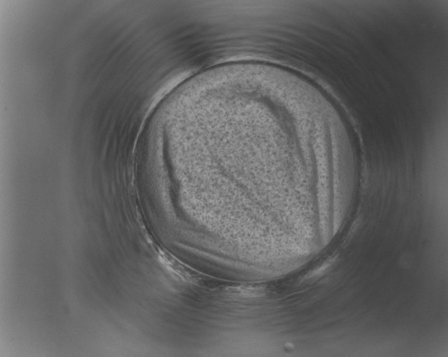 X0000076031145200610201820