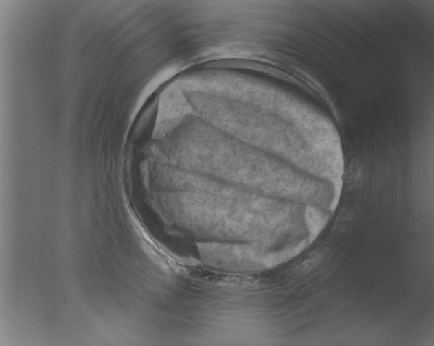 X0000076031146200610201820