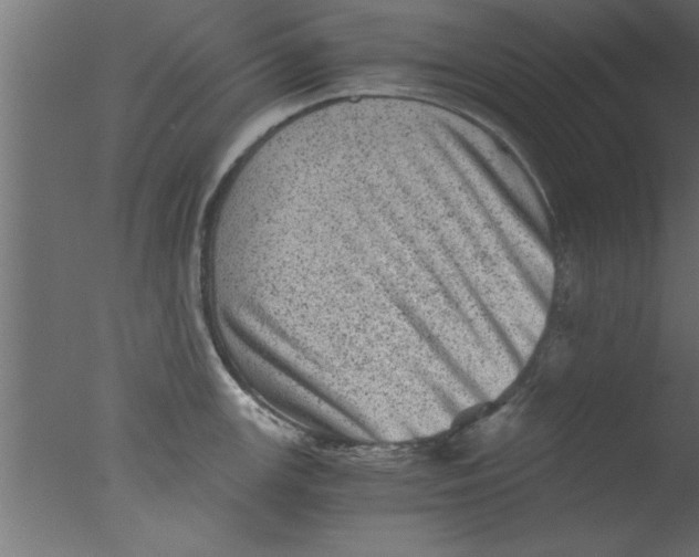 X0000076031147200610201820