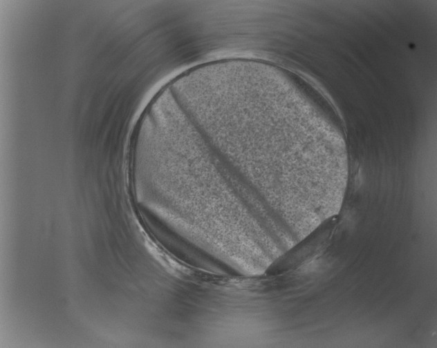 X0000076031148200610201820