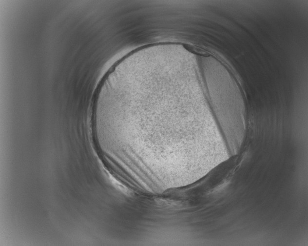 X0000076031149200610201820