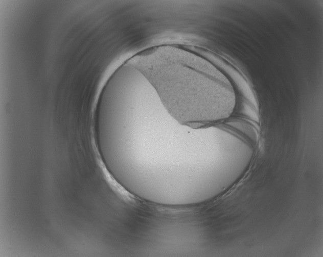 X0000076031152200610201820