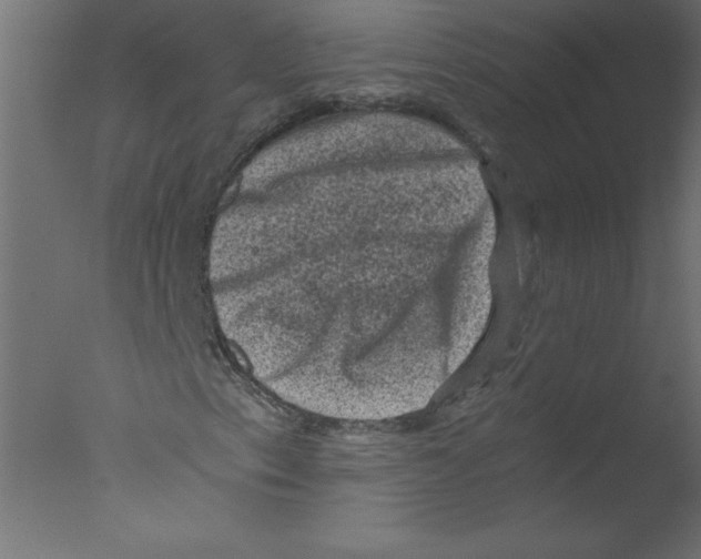 X0000076031153200610201820