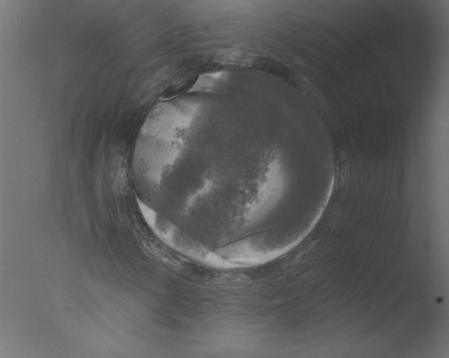 X0000076031154200610201820