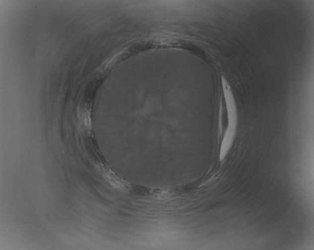 X0000076031155200610201820