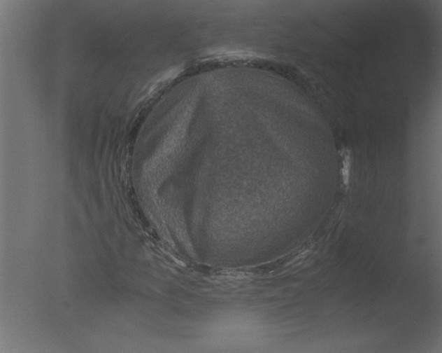 X0000076031157200610201819