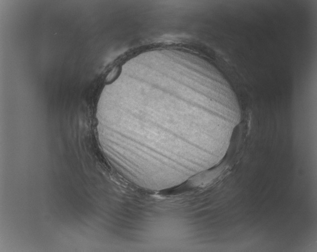 X0000076031158200610201819