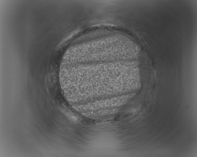 X0000076031159200610201819