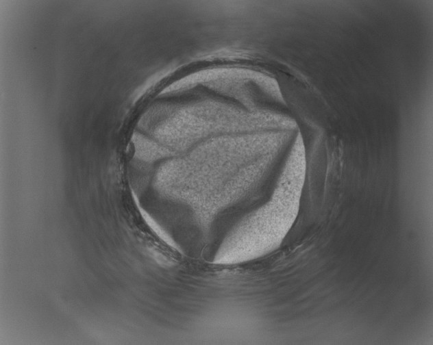 X0000076031160200610201819