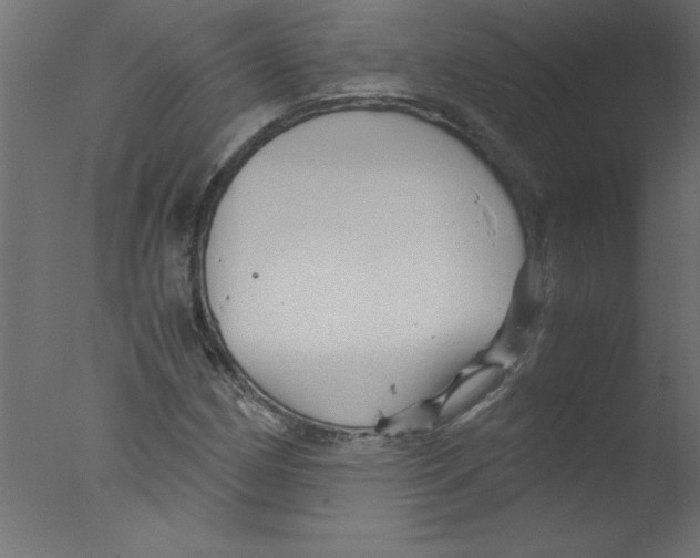 X0000076031162200610201819