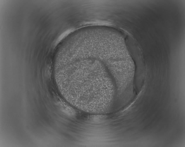 X0000076031163200610201819