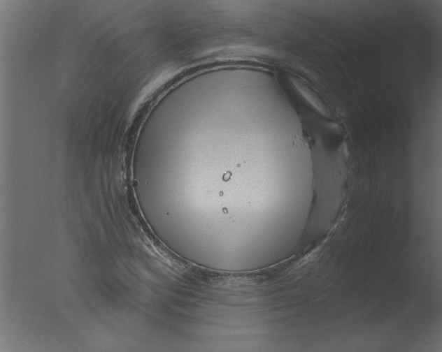 X0000076031164200610201819