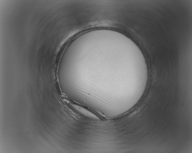 X0000076031166200610201819