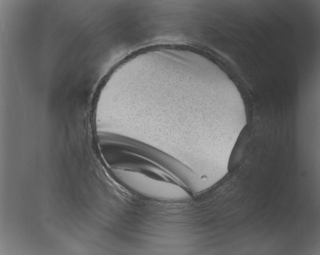 X0000076031168200610201819