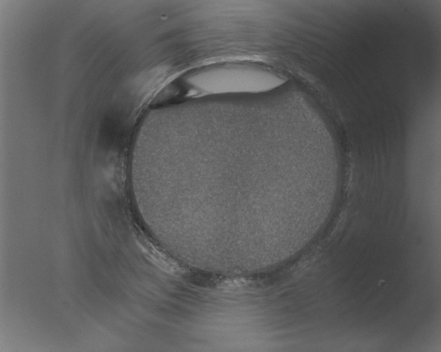 X0000076031169200610201819