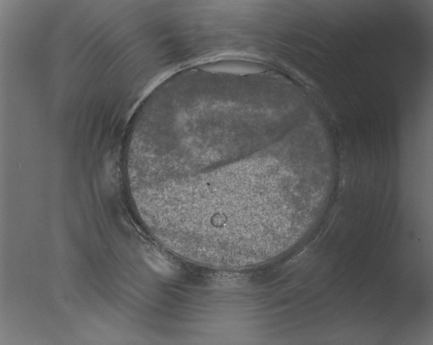 X0000076031170200610201819