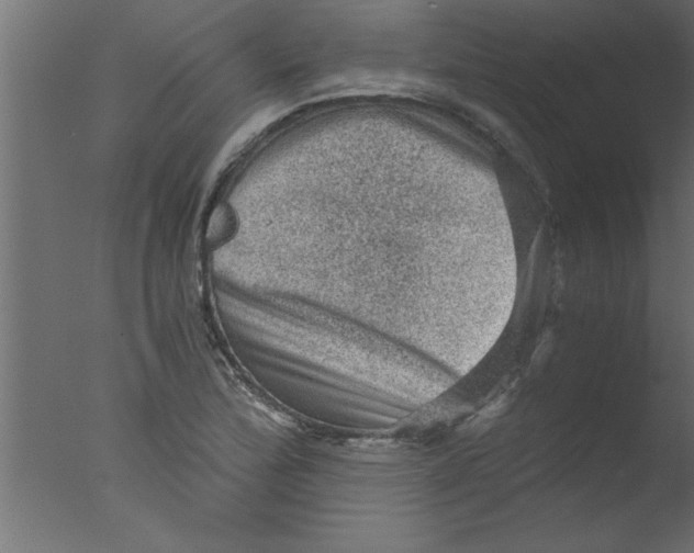 X0000076031172200610201819