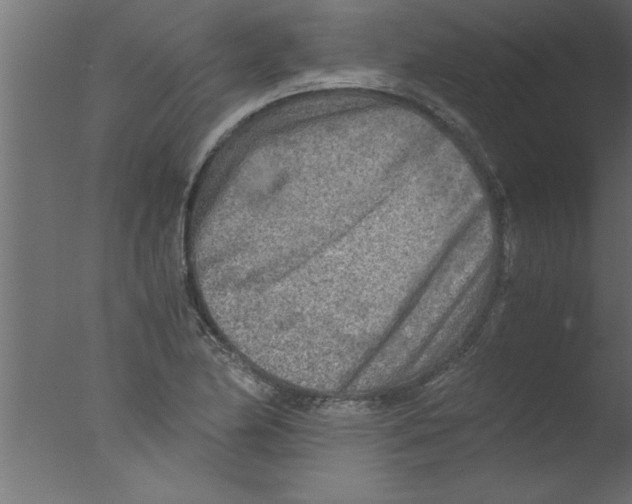 X0000076031174200610201819