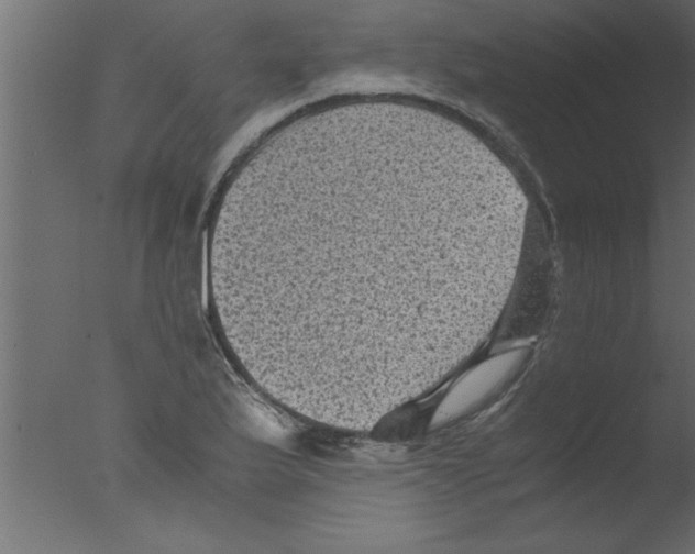 X0000076031175200610201819