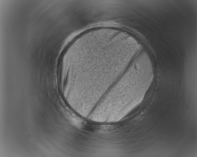 X0000076031176200610201819