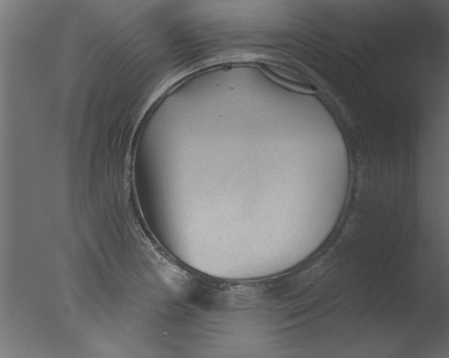 X0000076031178200610201819