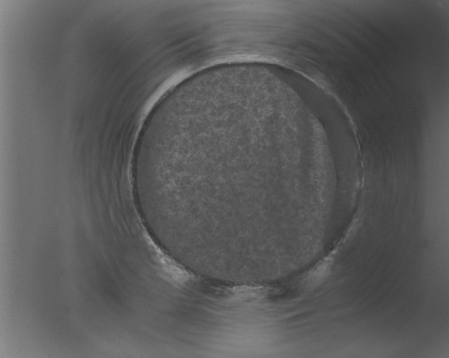 X0000076031181200610201819