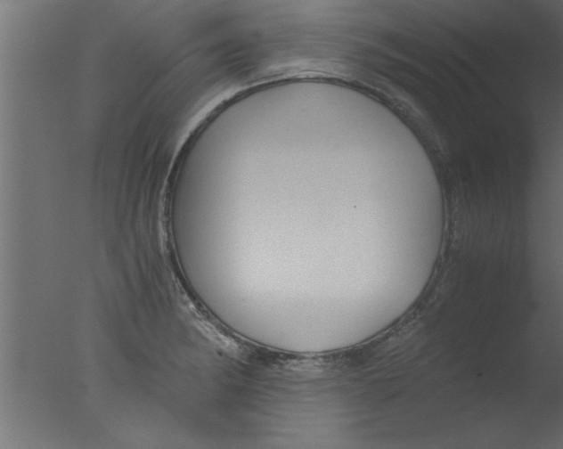 X0000076031182200610201819