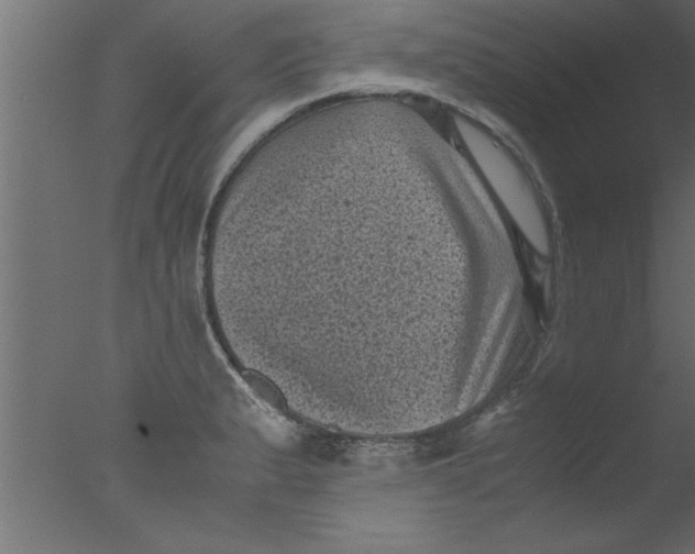 X0000076031183200610201819