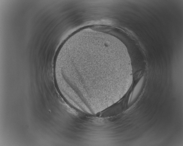 X0000076031184200610201819