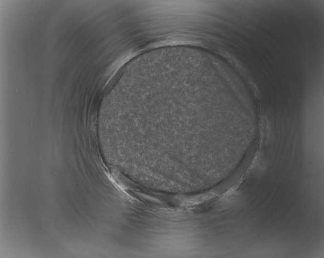 X0000076031185200610201819