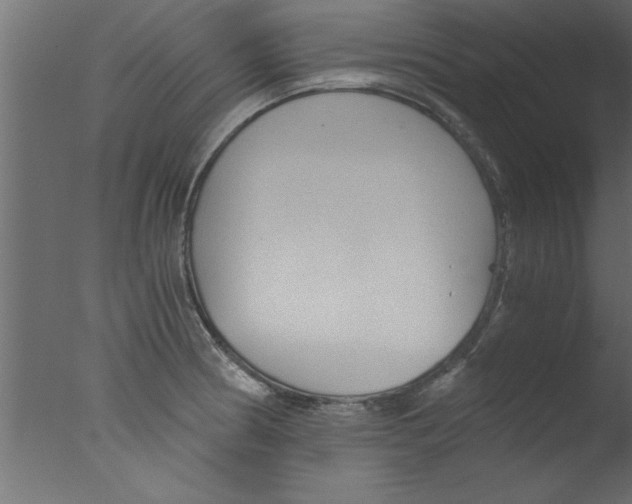 X0000076031186200610201819