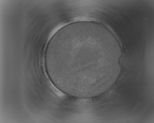 X0000076031187200610201819