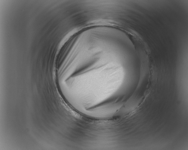 X0000076031188200610201819