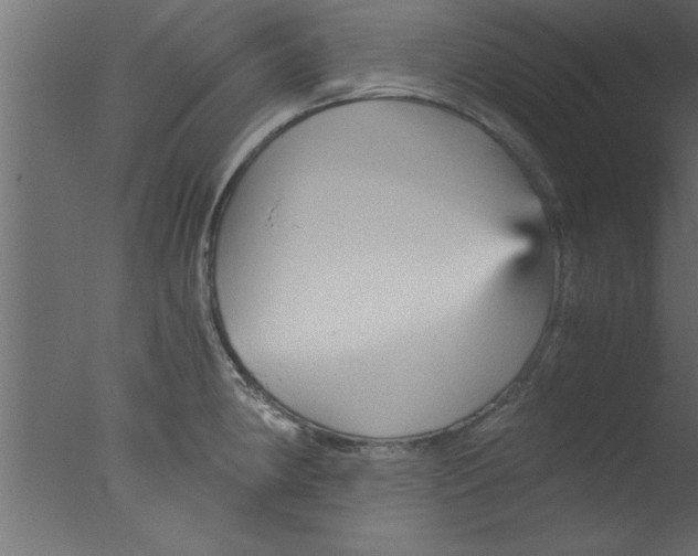 X0000076031190200610201819