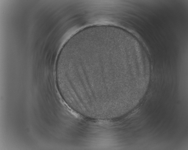 X0000076031191200610201819