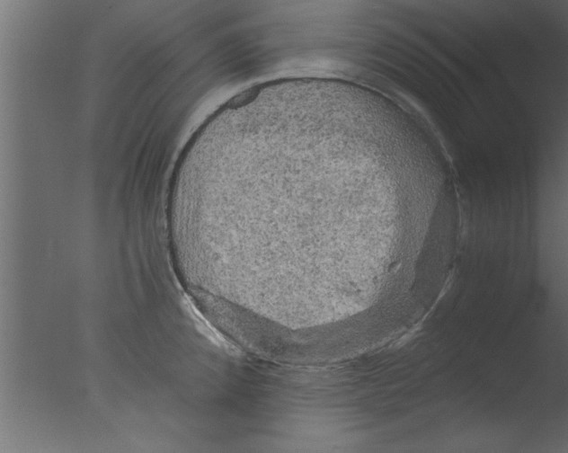 X0000076031192200610201819