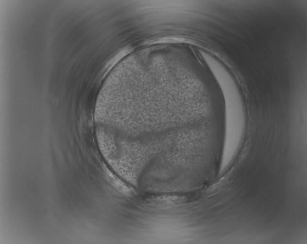 X0000076031193200610201819