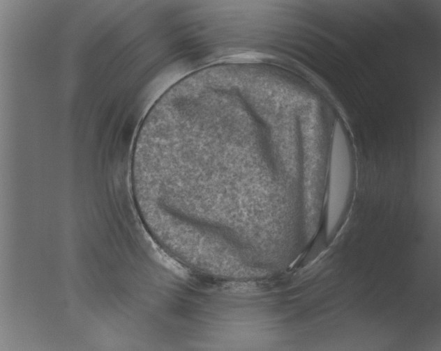 X0000076031194200610201819