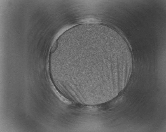 X0000076031195200610201819