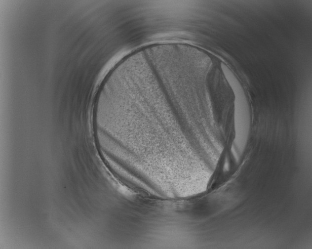 X0000076031196200610201819