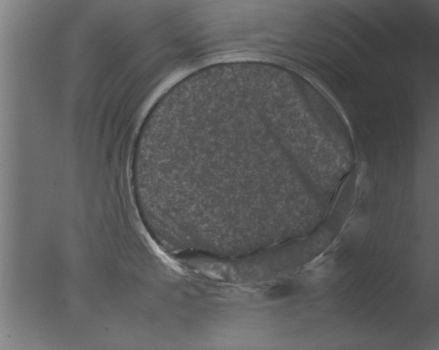 X0000076031197200610201819